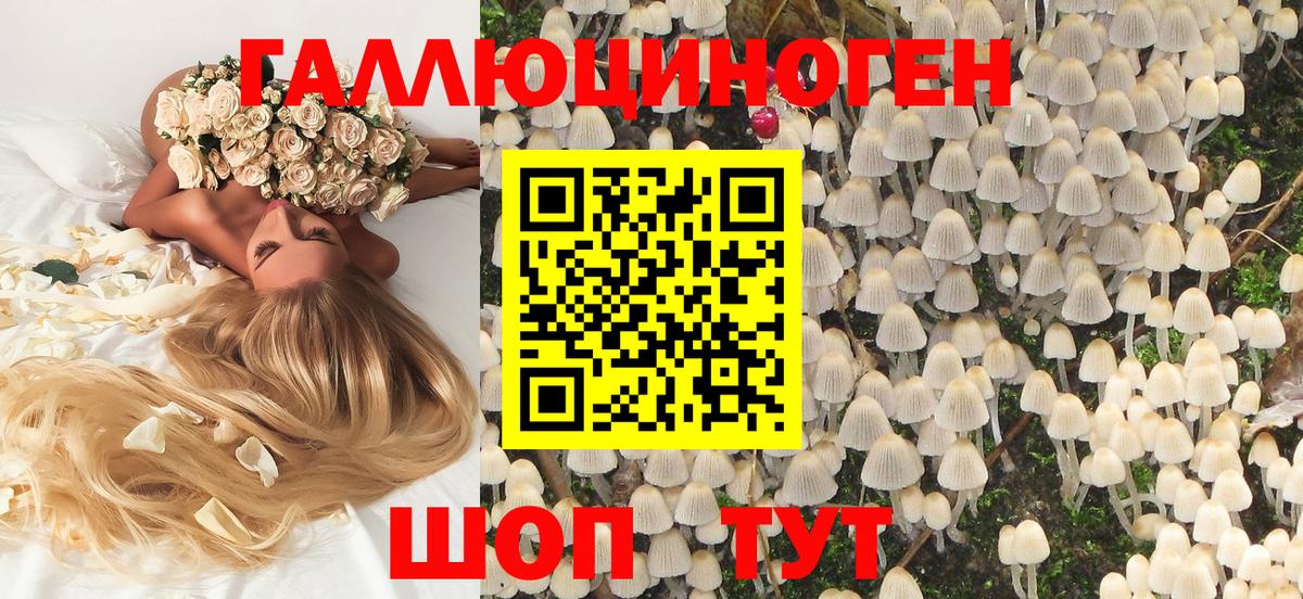 Галлюциногенные грибы Psilocybe  Вход с VPN  Псилоцибиновые грибы мицелий  Новодвинск 