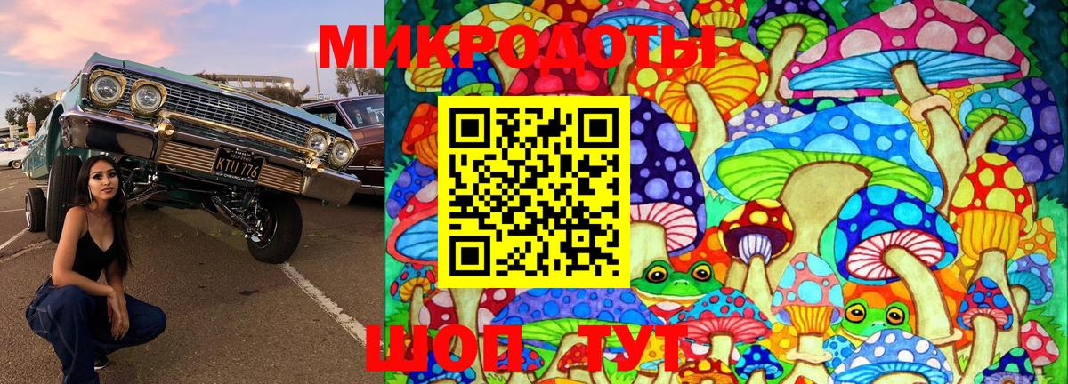 Псилоцибиновые грибы Cubensis Новодвинск