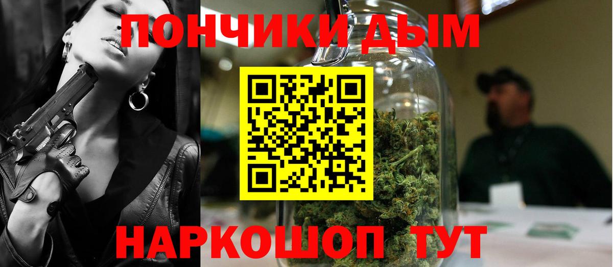 Новодвинск  Шишки марихуана сатива  Бошки Шишки ГИДРОПОН  Марихуана THC 21%  Марихуана гибрид  Вход с VPN 