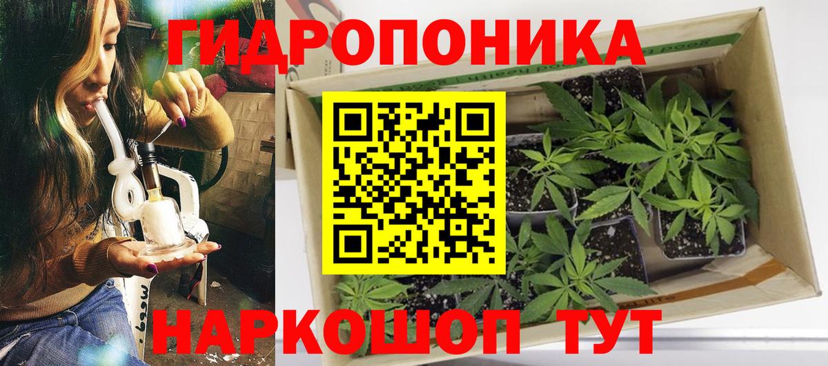 Марихуана индика Новодвинск
